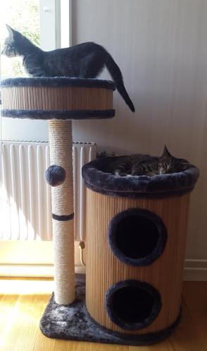 Klösmöbel Bamboo ljusgrå
