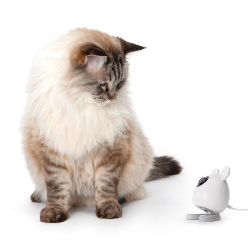 CatIt Pixi Smart Camera