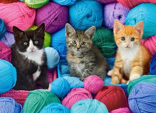 Pussel Kittens Yarnstore, 300 bitar