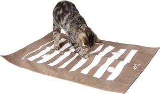 Cat activity Fumble Blanket Strategy Game