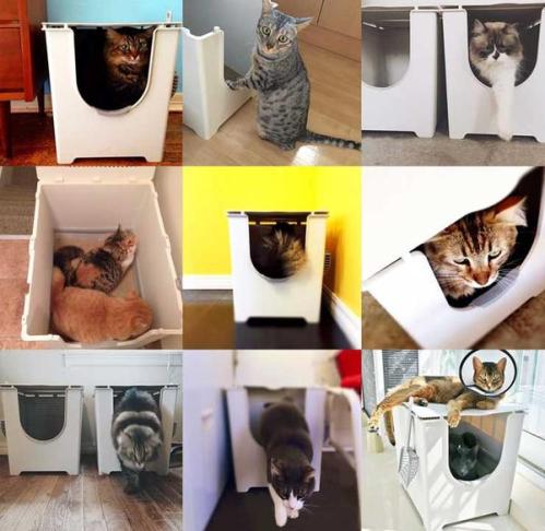 Flip Litter Box