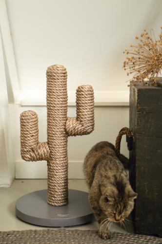 Klösmöbel Cactus natural - Designed by Lotte