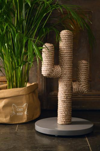 Klösmöbel Cactus natural - Designed by Lotte
