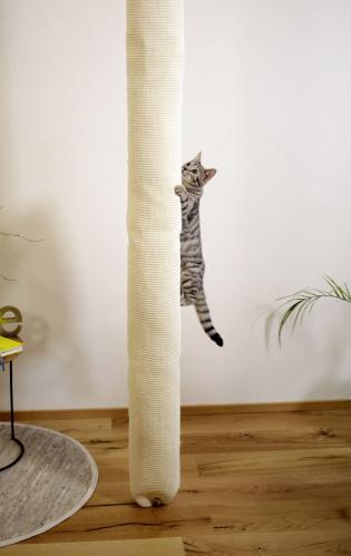 Cat scratching climber