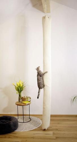 Cat scratching climber