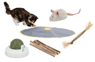 Paket 5 populära kattleksaker