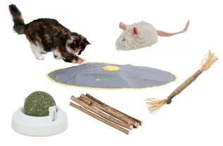 Paket 5 populära kattleksaker