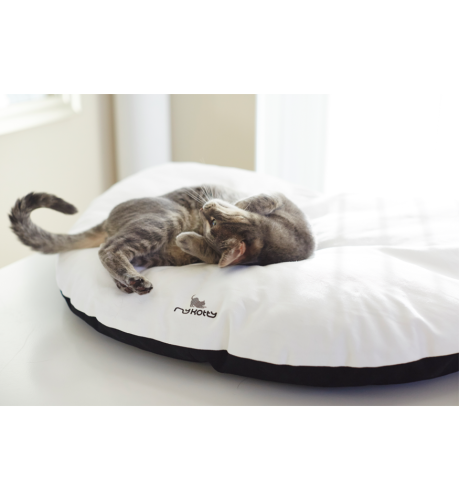 EMI modern catbed white