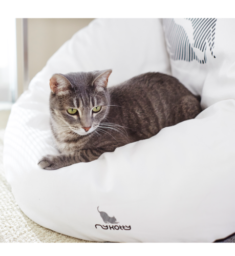 EMI modern catbed white