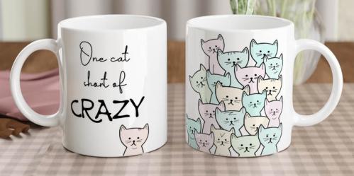 Mugg One cat short of crazy