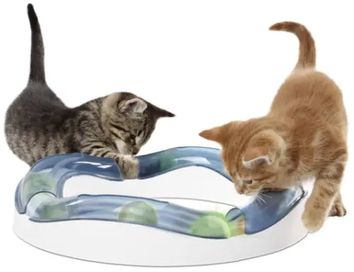 CatIt Senses Speed Circuit