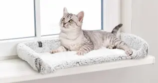 Kattsäng fönsterbräda Calida
