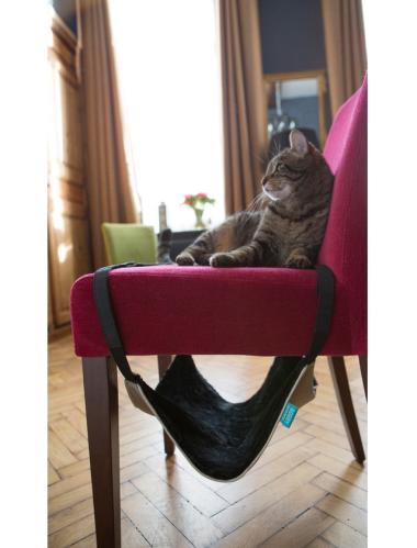 Cat hammock calin