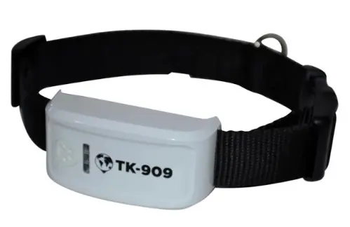 GPS för katt och hund