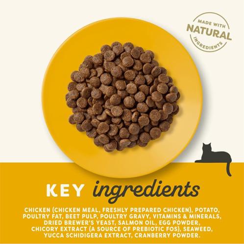 Kattfoder Applaws senior 2 kg