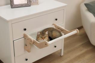 Kattsäng hammock trä
