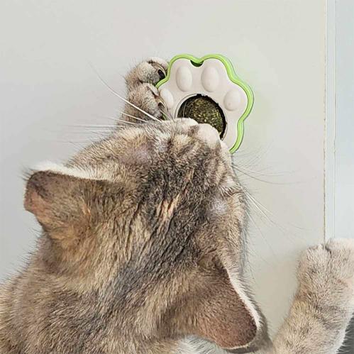 Catnip ball Paw