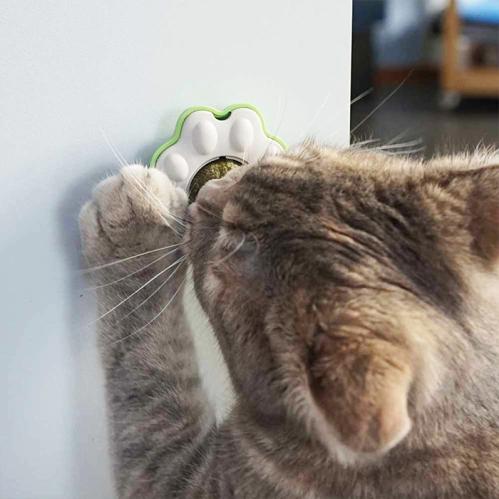Catnip ball Paw