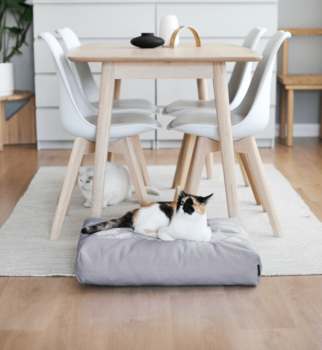 PADI modern catbed grå