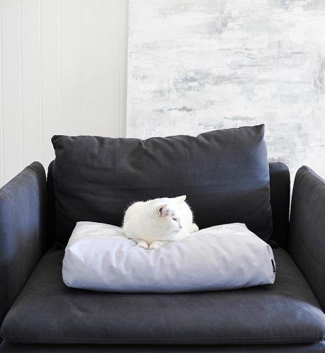 PADI modern catbed grå