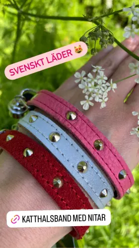 Katthalsband reflex silver med nitar