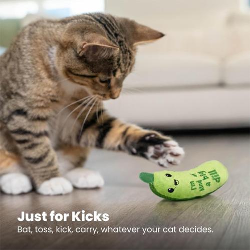 Kattleksak Crunchy Pickle Kicker