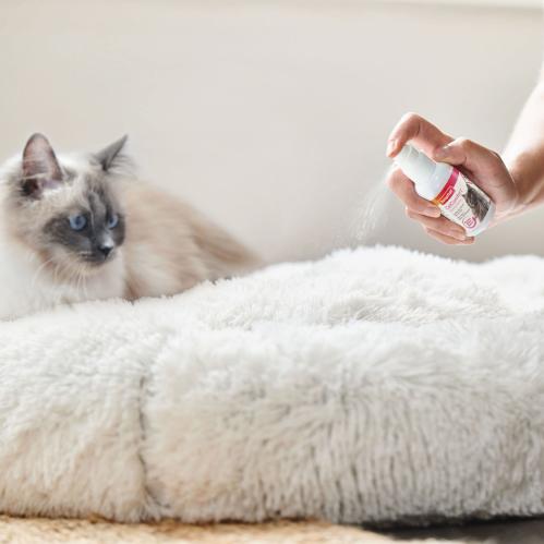 CatComfort Spray för katt 30 ml