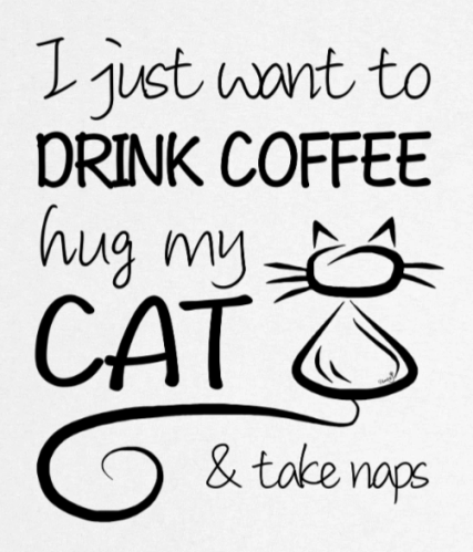 Supercat Vit katt T shirt med tryck Coffee & Cat XXL