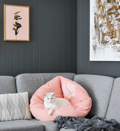 EMI modern catbed rose