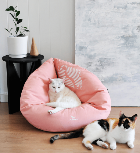 EMI modern catbed rose