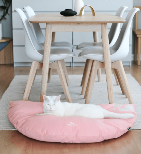 EMI modern catbed rose