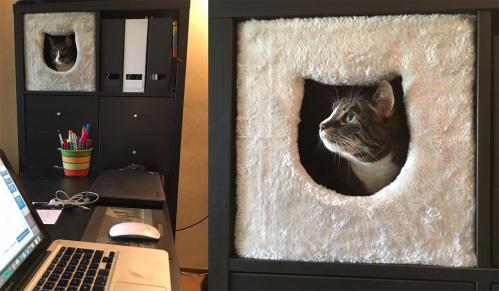 Cat cave (passar Expedit och Kallax)