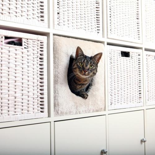 Cat cave (passar Expedit och Kallax)