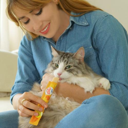 Kattgodis Churu Pops with Chicken
