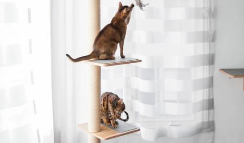 BeOneBreed EVO Tower klösträd