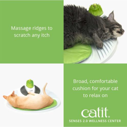 CatIt Senses 2.0 Wellness Center