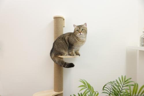 Klösmöbel vägg Timber Jute